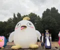 member face