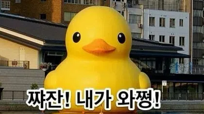정모 대표 이미지