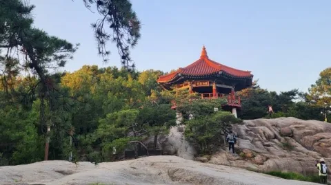 정모 대표 이미지