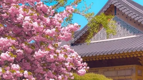 정모 대표 이미지