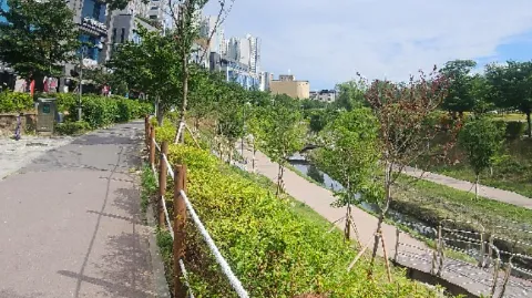 정모 대표 이미지