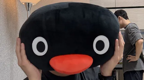 정모 대표 이미지