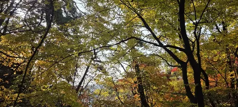 모임 대표 이미지