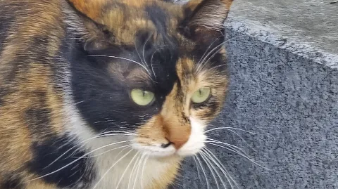 정모 대표 이미지