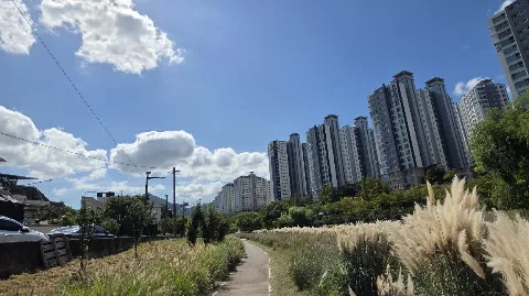 정모 대표 이미지