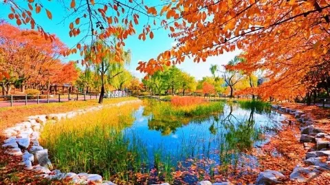 정모 대표 이미지