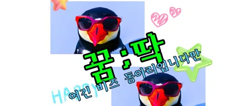 모임 대표 이미지