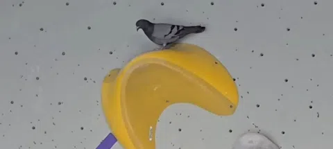 모임 대표 이미지