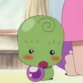 member face