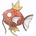 member face