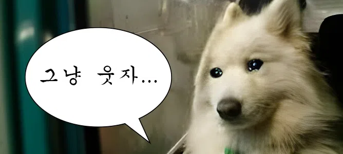 모임 이미지 1
