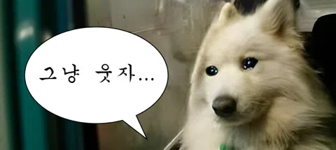모임 대표 이미지