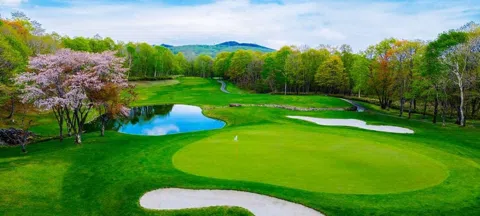 모임 대표 이미지