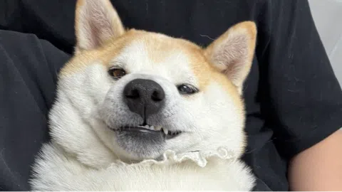 정모 대표 이미지