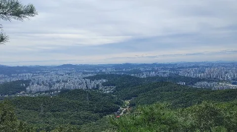 정모 대표 이미지
