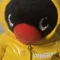 member face