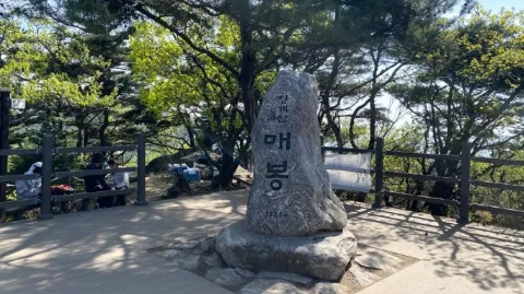 정모 대표 이미지