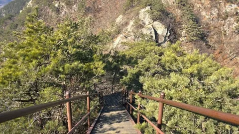 정모 대표 이미지