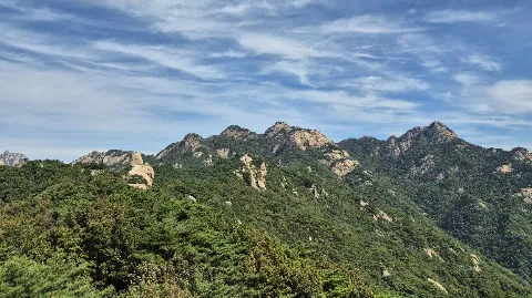 정모 대표 이미지