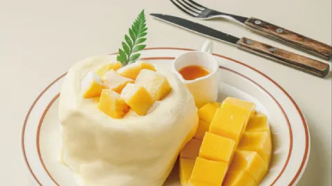 정모 대표 이미지