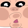 member face