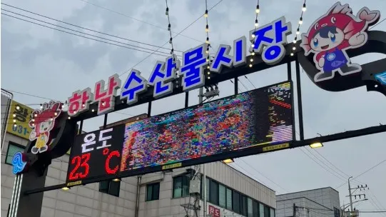 정모 대표 이미지