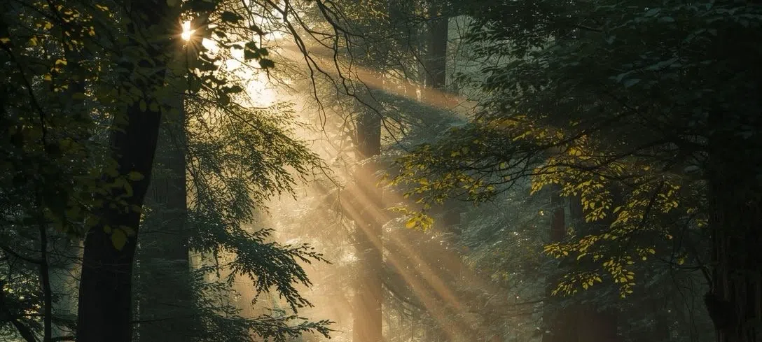 모임 이미지 1