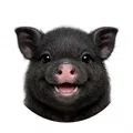 member face