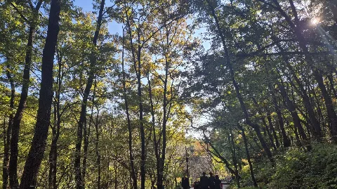 정모 대표 이미지