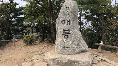정모 대표 이미지