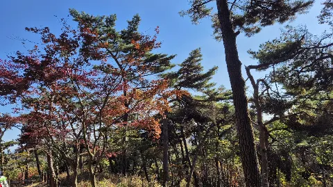 정모 대표 이미지