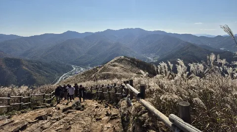 정모 대표 이미지