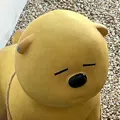 member face