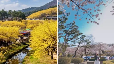 정모 대표 이미지