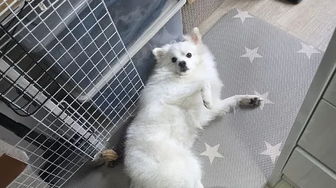 정모 대표 이미지