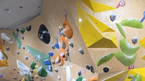 정모 대표 이미지