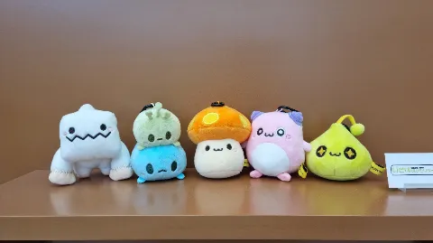 정모 대표 이미지