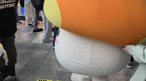 정모 대표 이미지