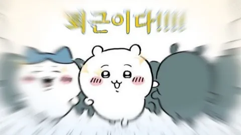 정모 대표 이미지