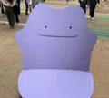 member face