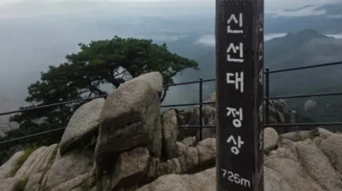 정모 대표 이미지