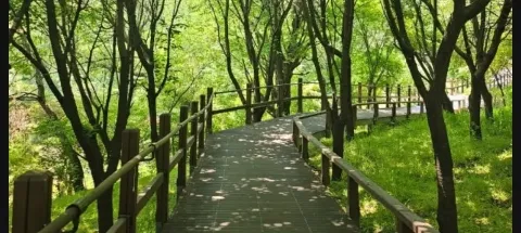 모임 대표 이미지