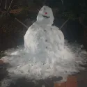 member face