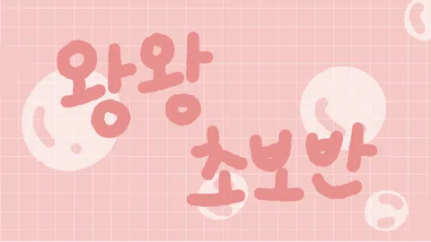 정모 대표 이미지