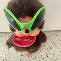 member face
