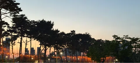 모임 대표 이미지