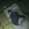 member face