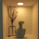 member face