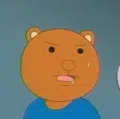 member face