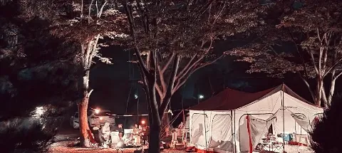 모임 대표 이미지